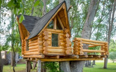 Fünf Profi-Tipps für Heimwerker:innen – So macht der Bau eines Baumhauses richtig Spaß